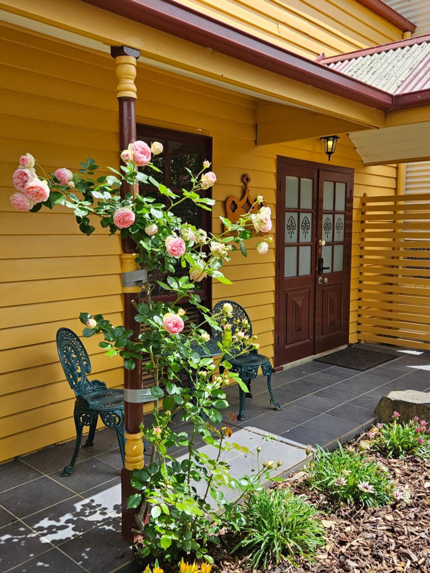 The Camperdown Millアパートホテル エクステリア 写真